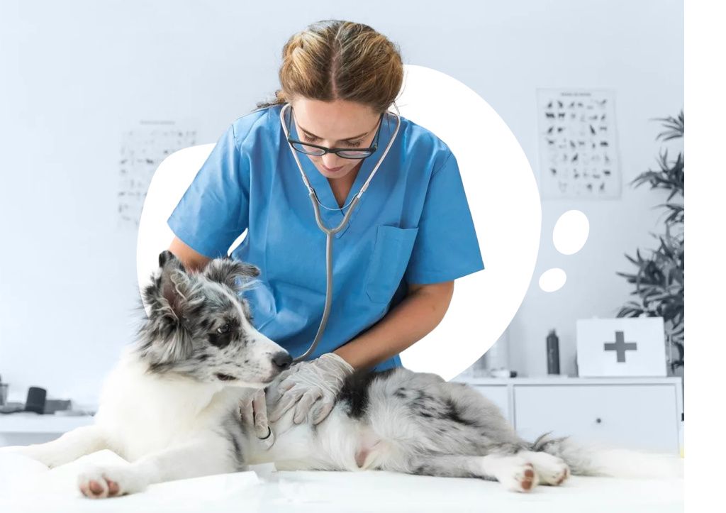 БЛОГ-2.jpg БЛОГ-2.jpg