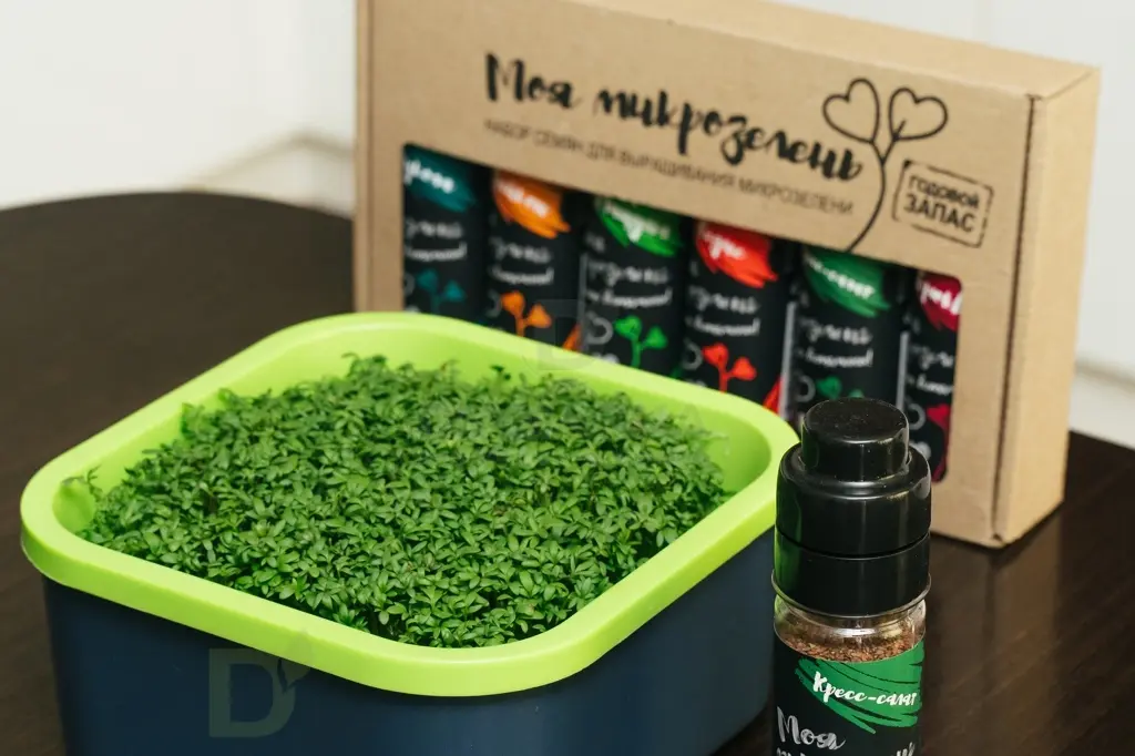 Набор семян Здоровья клад Моя микрозелень, 6шт