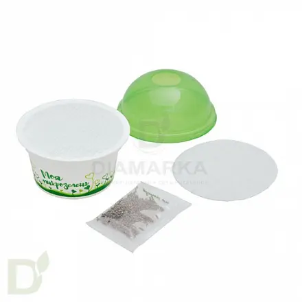 Набор для выращивания Здоровья клад Рукола